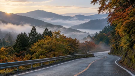 朝の箱根の山あいを縫う道路と色づく木々、誰もいない沿道