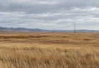 曇り空の下に広がる秋の草原と、遠くに立つ通信鉄塔