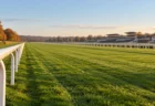 秋の午後の競馬場の芝コースとゴール前の直線