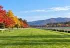 秋の朝、紅葉に囲まれた競馬場の芝コースと直線のラチ