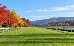 秋の朝、紅葉に囲まれた競馬場の芝コースと直線のラチ