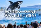 水族館のプールで水しぶきを上げて跳ねるシャチ
