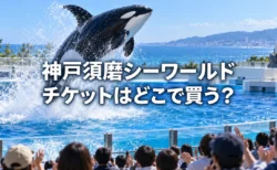 水族館のプールで水しぶきを上げて跳ねるシャチ