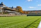 晴れた秋の競馬場の芝コースとゲート