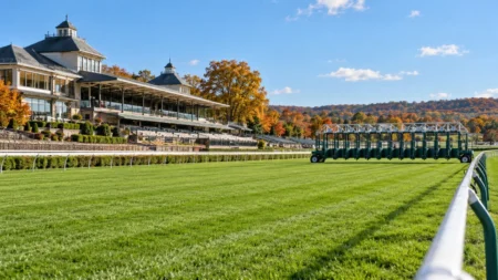 晴れた秋の競馬場の芝コースとゲート