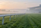 早朝の競馬場の芝コースと白い外ラチ、朝もやの向こうに見えるスタンド