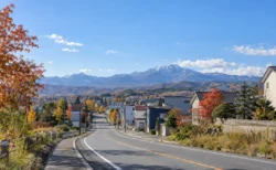 秋晴れの北海道の街のロードサイドと遠くの山並み
