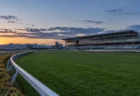 夕暮れの競馬場の芝コースと白い内ラチ、奥に大きなスタンド