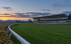 夕暮れの競馬場の芝コースと白い内ラチ、奥に大きなスタンド