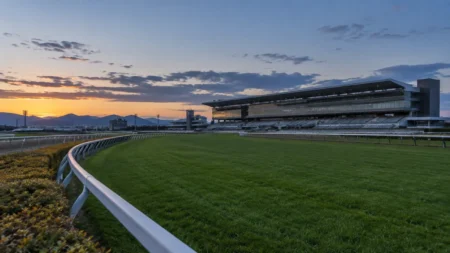 夕暮れの競馬場の芝コースと白い内ラチ、奥に大きなスタンド