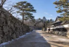 晴れた日の城の石垣と松並木の街道