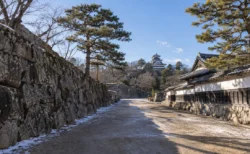 晴れた日の城の石垣と松並木の街道