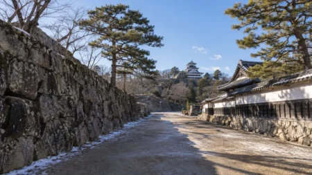 晴れた日の城の石垣と松並木の街道