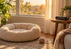 夕方の光が差し込むリビングの床に置かれた、空のクリーム色の猫用ベッドと毛糸玉、テーブルの上にたたまれた撮影用三脚