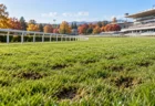 秋の競馬場の芝コースと白い内ラチ
