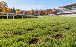 秋の競馬場の芝コースと白い内ラチ