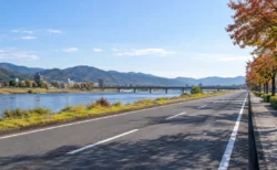 秋の日差しの中、川沿いに続く道路と色づく木々