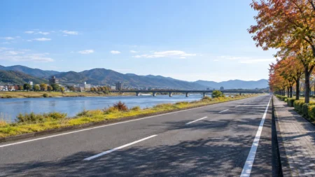 秋の日差しの中、川沿いに続く道路と色づく木々