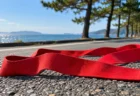 秋の海沿いの道路に引かれた駅伝コースの白線とたすき