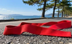 秋の海沿いの道路に引かれた駅伝コースの白線とたすき
