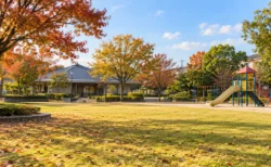 秋の住宅街にある公園の芝生広場と遊具、奥に低い建物が並ぶ穏やかな昼の風景