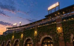 夕暮れの甲子園を思わせる球場の外野スタンドとツタの外壁