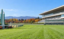 秋の競馬場のゴール前の芝コースとスタンド