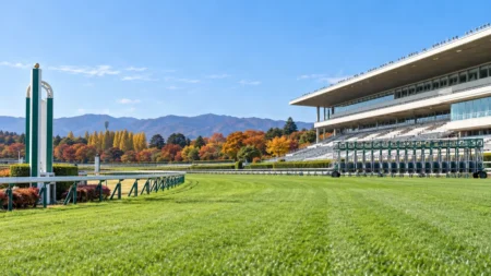 秋の競馬場のゴール前の芝コースとスタンド