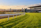 秋の競馬場の芝コースとゴール前の内ラチ