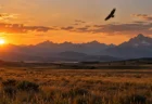夕暮れの草原と遠くの山並み