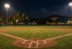 夜の野球場の内野ダイヤモンドとヤシの木