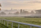 朝もやの中の欧州の競馬場の芝コースと白いラチ