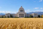 政府庁舎の建物と手前に広がる黄金色の麦畑