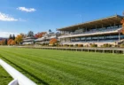 秋の競馬場のスタンド前に広がる芝コース