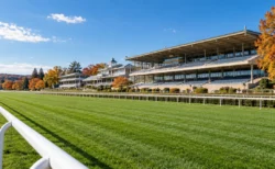 秋の競馬場のスタンド前に広がる芝コース
