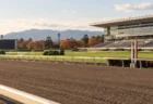 秋の日差しに照らされた競馬場のダートコースと、紅葉の木々の奥に見えるスタンド