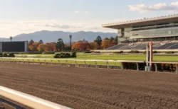 秋の日差しに照らされた競馬場のダートコースと、紅葉の木々の奥に見えるスタンド