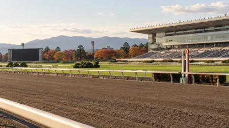 秋の日差しに照らされた競馬場のダートコースと、紅葉の木々の奥に見えるスタンド