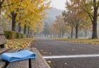 秋の朝、色づき始めた並木道の中継所の白線と、ベンチに置かれた無地の水色のたすき