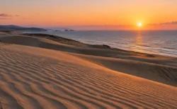 夕日に照らされた風紋の砂丘と、その向こうに広がる穏やかな海