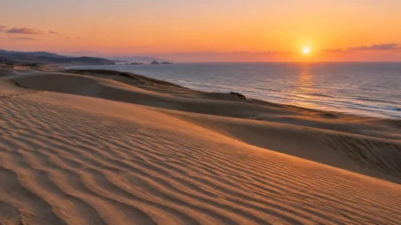 夕日に照らされた風紋の砂丘と、その向こうに広がる穏やかな海