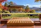 秋晴れの公園の芝生広場に並ぶ将棋盤と駒