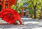 神社の境内に置かれた赤い和傘と紅白の花