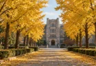 黄葉したイチョウ並木の奥に建つ石造りの大学校舎