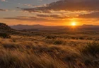 夕日が沈む広い草原と遠くの山並み