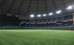 照明に照らされたドーム球場の外野スタンドとグラウンド