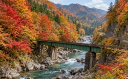 紅葉に染まる渓谷沿いを走る単線の線路と鉄橋、渡良瀬川の清流