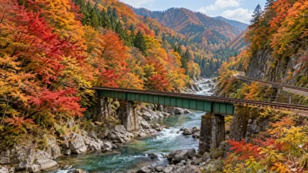 紅葉に染まる渓谷沿いを走る単線の線路と鉄橋、渡良瀬川の清流