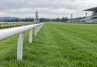 曇り空の下、白い内ラチが延びる競馬場の芝コース
