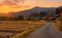 秋の夕方、山あいの集落を抜けて続く道路